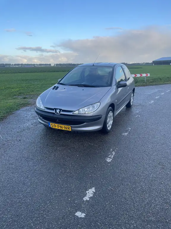 Peugeot 206 2004 из Европы — купить под ключ