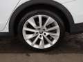 Skoda Octavia Combi 2.0 TDI Scout 4x4 Aut MATRIX AHK Weiß - thumbnail 28