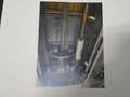 Ford F 1 F1 3,9 V8 239 CUI FLATHEAD 1950 H-ZULASSUNG DE Grün - thumbnail 24
