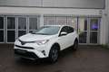 Toyota RAV 4 2.5 4x2 Hybrid Edition S+ White - thumbnail 9