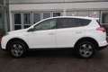 Toyota RAV 4 2.5 4x2 Hybrid Edition S+ White - thumbnail 10