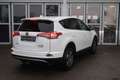 Toyota RAV 4 2.5 4x2 Hybrid Edition S+ White - thumbnail 5