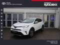 Toyota RAV 4 2.5 4x2 Hybrid Edition S+ White - thumbnail 1