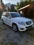 Mercedes-Benz GLK 220 cdi (be) Sport 4matic auto my12 - thumbnail 7