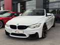 BMW M4 4er M4 F83 Cabrio M-DKG Blanc - thumbnail 19