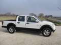 Great Wall Steed 3  2.4 DC Super Luxury Gpl 4x4 Weiß - thumbnail 4