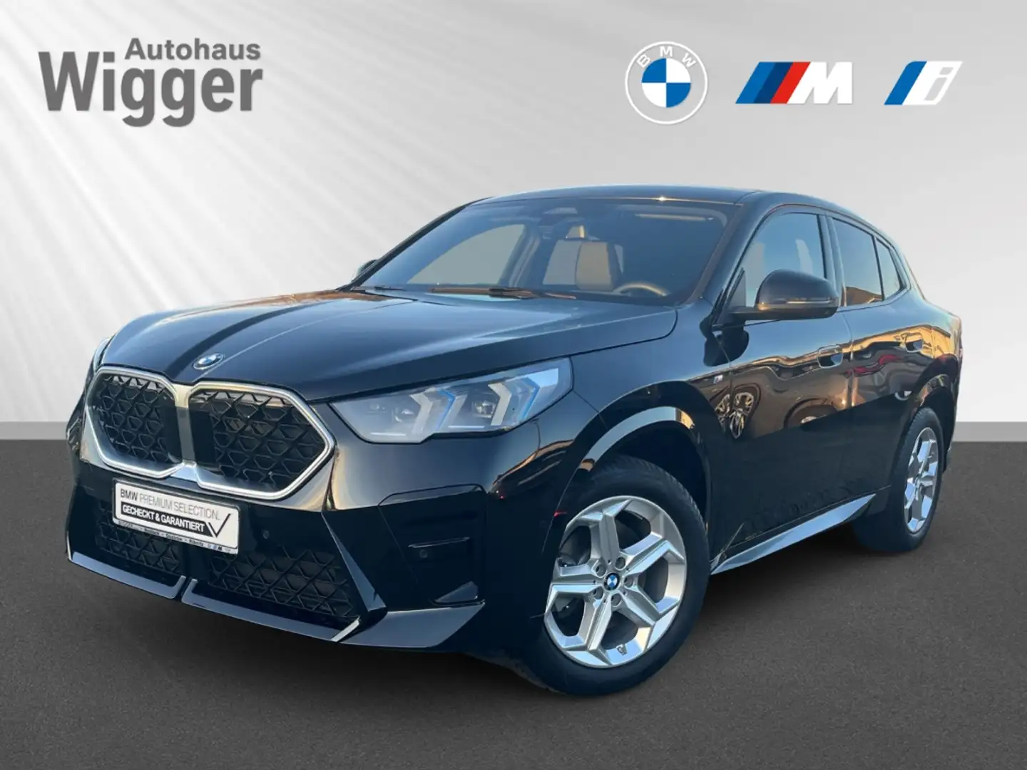 BMW X2 20i sDrive M Sport/HUD/AHK/Navigation Schwarz - 1