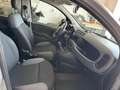 Fiat Panda Panda III  1.2 Pop s Blau - thumbnail 8