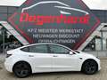 Tesla Model 3 Long Range Dual AWD Matrix LED Weiß - thumbnail 11