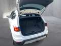 SEAT Arona Xcellence EcoTSI DSG Weiß - thumbnail 13