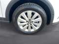 SEAT Arona Xcellence EcoTSI DSG Weiß - thumbnail 7
