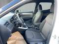 SEAT Arona Xcellence EcoTSI DSG Weiß - thumbnail 9