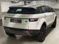 Land Rover Range Rover Evoque 2.0 SE Automatik*Navi*PDC*1 Hand* Blanc - thumbnail 6