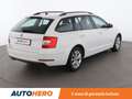 Skoda Octavia 1.6 TDI Executive Wagon 115 CV Bianco - thumbnail 6