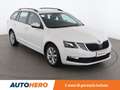 Skoda Octavia 1.6 TDI Executive Wagon 115 CV Bianco - thumbnail 8