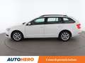 Skoda Octavia 1.6 TDI Executive Wagon 115 CV Bianco - thumbnail 3