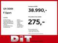 Lexus UX 300h F Sport Design Klimaaut., ACC,SpurH, LM Blanco - thumbnail 4
