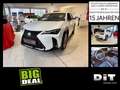 Lexus UX 300h F Sport Design Klimaaut., ACC,SpurH, LM Weiß - thumbnail 3