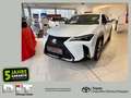 Lexus UX 300h F Sport Design Klimaaut., ACC,SpurH, LM Blanco - thumbnail 1