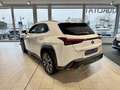 Lexus UX 300h F Sport Design Klimaaut., ACC,SpurH, LM Weiß - thumbnail 4