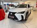 Lexus UX 300h F Sport Design Klimaaut., ACC,SpurH, LM Weiß - thumbnail 2