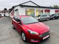 Ford Focus Turnier Titanium/ fahrzeug startet nicht Rood - thumbnail 4