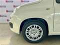 Fiat Panda 1.0 FireFly Hybrid PROMO IMMATRICOLAZIONE MESE Bianco - thumbnail 10