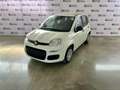 Fiat Panda 1.0 FireFly Hybrid PROMO IMMATRICOLAZIONE MESE Bianco - thumbnail 1