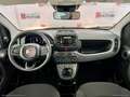 Fiat Panda 1.0 FireFly Hybrid PROMO IMMATRICOLAZIONE MESE Bianco - thumbnail 6