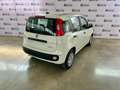 Fiat Panda 1.0 FireFly Hybrid PROMO IMMATRICOLAZIONE MESE Bianco - thumbnail 3