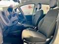 Fiat Panda 1.0 FireFly Hybrid PROMO IMMATRICOLAZIONE MESE Bianco - thumbnail 5
