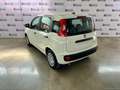 Fiat Panda 1.0 FireFly Hybrid PROMO IMMATRICOLAZIONE MESE Bianco - thumbnail 4