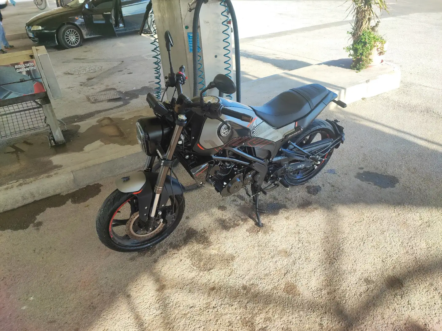 Benelli Leoncino Gris - 2