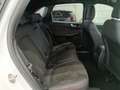 Ford Kuga 2.5 Duratec PHEV ST-Line X 4x2 Blanco - thumbnail 13