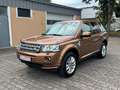 Land Rover Freelander 2 HSE SD4 Automatik 4x4 Xenon Leder D Maro - thumbnail 4