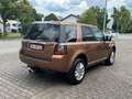 Land Rover Freelander 2 HSE SD4 Automatik 4x4 Xenon Leder D Maro - thumbnail 6