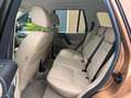 Land Rover Freelander 2 HSE SD4 Automatik 4x4 Xenon Leder D Maro - thumbnail 8