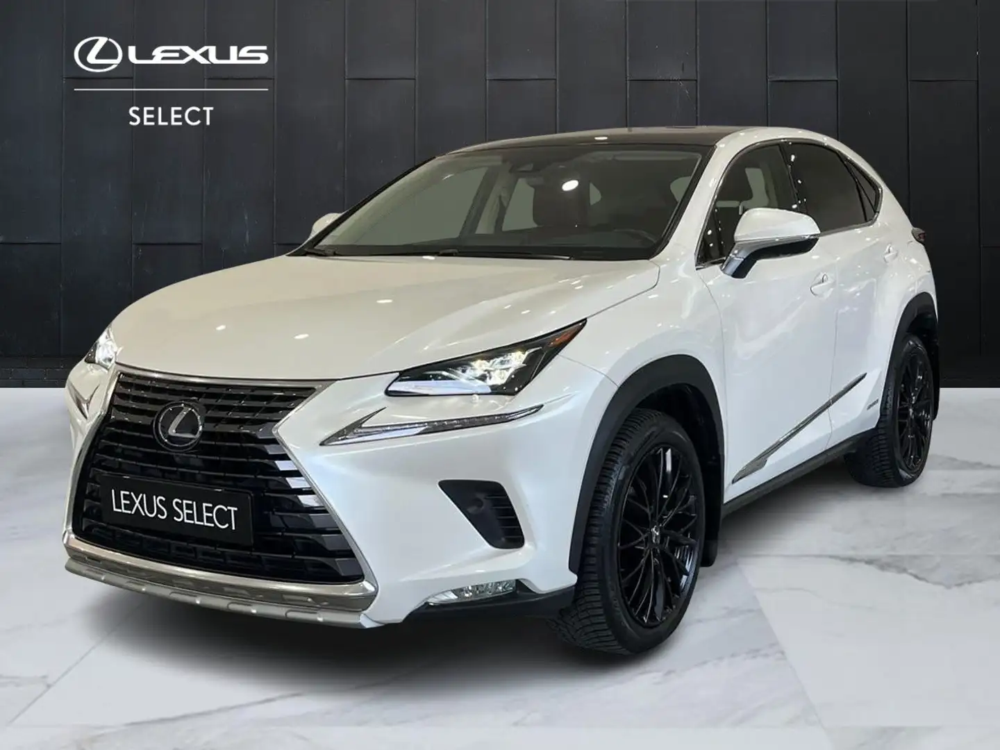 Lexus NX 300h NX 300h 2.5 Luxury 4wd cvt Білий - 1