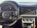 Skoda Kodiaq 2.0 TDI 110 kW (150CV) AdBlue DSG 4x4 Blanco - thumbnail 12