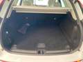 Volvo XC60 XC60 B4 (d) AWD Geartronic Business Plus Bianco - thumbnail 15