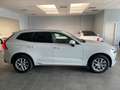 Volvo XC60 XC60 B4 (d) AWD Geartronic Business Plus Bianco - thumbnail 4