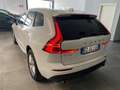 Volvo XC60 XC60 B4 (d) AWD Geartronic Business Plus Bianco - thumbnail 2