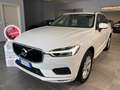Volvo XC60 XC60 B4 (d) AWD Geartronic Business Plus Bianco - thumbnail 1