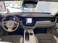 Volvo XC60 XC60 B4 (d) AWD Geartronic Business Plus Bianco - thumbnail 6