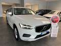 Volvo XC60 XC60 B4 (d) AWD Geartronic Business Plus Bianco - thumbnail 5