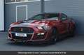 Ford Mustang Kit Shelby Tout compris hors homologation 4500e Rouge - thumbnail 3