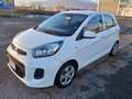 Kia Picanto 1.0 City Gpl 5p my13 - thumbnail 6