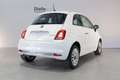 Fiat 500 1.0 Hybrid Dolcevita 70CV tetto in vetro e climat Bianco - thumbnail 2