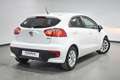 Kia Rio 1.1CRDi WGT Drive Blanco - thumbnail 4
