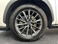 Lexus NX 450h+ Executive Line AWD Blanc - thumbnail 15